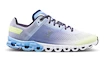 Chaussures de running pour femme On  Cloudflow Nimbus/Seedling