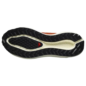 Chaussures de running pour femme Salomon Aero Blaze 3 GRVL Burnt Ochre/Vanilla Ice/Vanilla Ice