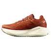 Chaussures de running pour femme Salomon Aero Glide 3 GRVL Burnt Ochre/Vanilla Ice/Etherea