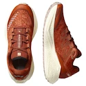Chaussures de running pour femme Salomon Aero Glide 3 GRVL Burnt Ochre/Vanilla Ice/Etherea