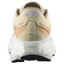 Chaussures de running pour femme Salomon Aero Glide 3 GRVL Shortbread/White/Fusion Coral