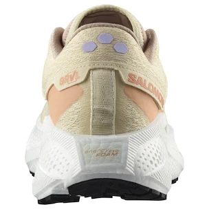 Chaussures de running pour femme Salomon Aero Glide 3 GRVL Shortbread/White/Fusion Coral