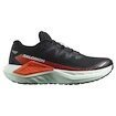 Chaussures de running pour femme Salomon DRX Defy Grvl Black/Cherry Tomato/Bay