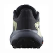 Chaussures de running pour femme Salomon GENESIS W Carbon/Grisaille/Aloe Wash