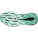 Chaussures de running pour femme Salomon Pulsar Trail W