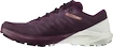 Chaussures de running pour femme Salomon Sense 4  PRO W Plum Caspia