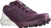 Chaussures de running pour femme Salomon Sense 4  PRO W Plum Caspia