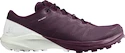 Chaussures de running pour femme Salomon Sense 4  PRO W Plum Caspia