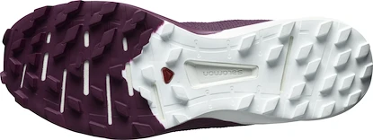 Chaussures de running pour femme Salomon Sense 4  PRO W Plum Caspia