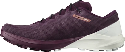 Chaussures de running pour femme Salomon Sense 4  PRO W Plum Caspia