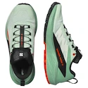 Chaussures de running pour femme Salomon Sense Ride 5 Bay/Black/Cherry Tomato