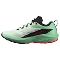 Chaussures de running pour femme Salomon Sense Ride 5 Bay/Black/Cherry Tomato