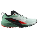 Chaussures de running pour femme Salomon Sense Ride 5 Bay/Black/Cherry Tomato