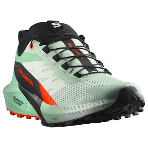 Chaussures de running pour femme Salomon Sense Ride 5 Bay/Black/Cherry Tomato