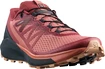 Chaussures de running pour femme Salomon Sense Ride