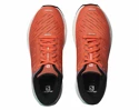 Chaussures de running pour femme Salomon  Sonic