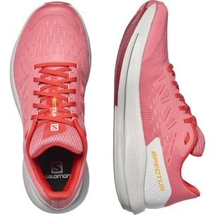 Chaussures de running pour femme Salomon Spectur W Tea Rose/Lunar Rock
