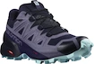 Chaussures de running pour femme Salomon Speedcross 5 GTX Nisk