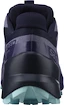 Chaussures de running pour femme Salomon Speedcross 5 GTX Nisk