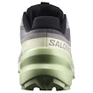 Chaussures de running pour femme Salomon Speedcross 6 Castlerock/Vanilla Ice/Smoke Green