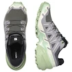 Chaussures de running pour femme Salomon Speedcross 6 Castlerock/Vanilla Ice/Smoke Green