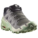 Chaussures de running pour femme Salomon Speedcross 6 Castlerock/Vanilla Ice/Smoke Green