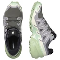 Chaussures de running pour femme Salomon Speedcross 6 Castlerock/Vanilla Ice/Smoke Green