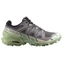 Chaussures de running pour femme Salomon Speedcross 6 Castlerock/Vanilla Ice/Smoke Green