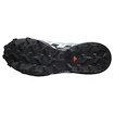 Chaussures de running pour femme Salomon Speedcross 6 Gore-Tex Flint Stone/Black/Heather