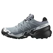 Chaussures de running pour femme Salomon Speedcross 6 Gore-Tex Flint Stone/Black/Heather