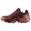 Chaussures de running pour femme Salomon Speedcross 6 Gore-Tex Rum Raisin/Barn Red/Canyon Clay