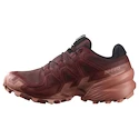 Chaussures de running pour femme Salomon Speedcross 6 Gore-Tex Rum Raisin/Barn Red/Canyon Clay