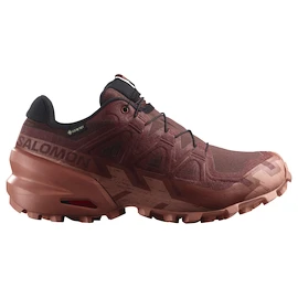 Chaussures de running pour femme Salomon Speedcross 6 Gore-Tex Rum Raisin/Barn Red/Canyon Clay