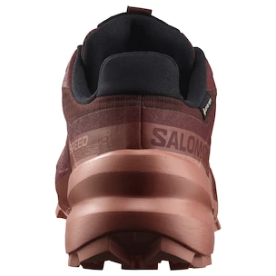 Chaussures de running pour femme Salomon Speedcross 6 Gore-Tex Rum Raisin/Barn Red/Canyon Clay