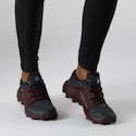 Chaussures de running pour femme Salomon  Wildcross