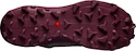 Chaussures de running pour femme Salomon  Wildcross
