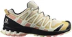 Chaussures de running pour femme Salomon XA Pro 3D V8 Frozen Dew