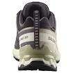 Chaussures de running pour femme Salomon Xa Pro 3D V9 Gore-Tex Nine Iron/Oxford Tan/Alfalfa
