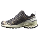 Chaussures de running pour femme Salomon Xa Pro 3D V9 Gore-Tex Nine Iron/Oxford Tan/Alfalfa
