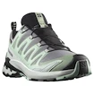 Chaussures de running pour femme Salomon Xa Pro 3D V9 Gore-Tex Quiet Shade/Lily Pad/Blue Haze