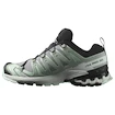 Chaussures de running pour femme Salomon Xa Pro 3D V9 Gore-Tex Quiet Shade/Lily Pad/Blue Haze