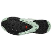 Chaussures de running pour femme Salomon Xa Pro 3D V9 Gore-Tex Quiet Shade/Lily Pad/Blue Haze