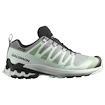Chaussures de running pour femme Salomon Xa Pro 3D V9 Gore-Tex Quiet Shade/Lily Pad/Blue Haze