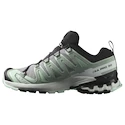 Chaussures de running pour femme Salomon Xa Pro 3D V9 Gore-Tex Quiet Shade/Lily Pad/Blue Haze