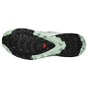 Chaussures de running pour femme Salomon Xa Pro 3D V9 Gore-Tex Quiet Shade/Lily Pad/Blue Haze