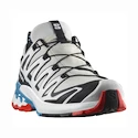 Chaussures de running pour femme Salomon XA PRO 3D V9 GTX W LunarRock/White/Black