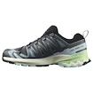 Chaussures de running pour femme Salomon Xa Pro 3D V9 Turbulence/Iced Aqua/Patina Green