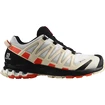 Chaussures de running pour femme Salomon XA Pro 3D XA PRO 3D v8 GTX W Lunar Rock