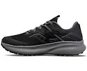 Chaussures de running pour femme Saucony Ride 15 TR GTX Black/Charcoal