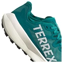 Chaussures de running pour homme adidas Terrex Agravic Speed Purtea/Greone/Cblack